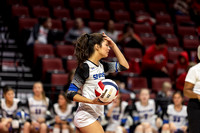 Girls Volleyball: 2023 IHSA 3A State Championship, St. Francis vs Lincoln