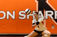 Girls Volleyball: 2023 IHSA 4A Super-sectional, Mother McAuley vs Normal Community West