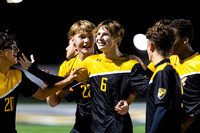 Boys Soccer: 2023 IHSA 3A Regional, Lincoln-Way West vs Andrew