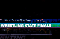 Wrestling: State Finals Individuals