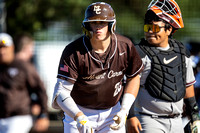 Baseball: 2024 IHSA 4A Sectional semi, Mount Carmel vs Brother Rice