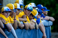 Baseball: 2024 IHSA 4A Regional semi, Marist vs Sandburg